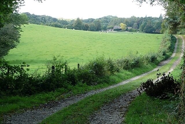 A rural path leading through a green field, with a fence on one side and trees on the other.