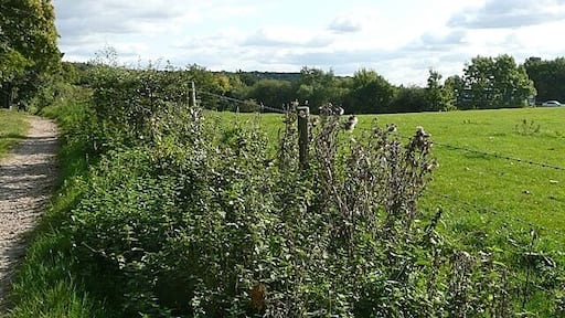 The elephant in the room The motorway is a constant presence and can just be seen to the right, otherwise this is a lovely track.