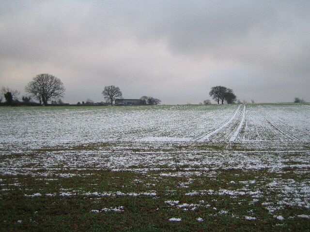 Farmland near Allesley Green. Looking South from the footpath by the golf course. This crop was planted in the Autumn. I believe it is wheat - we shall see.