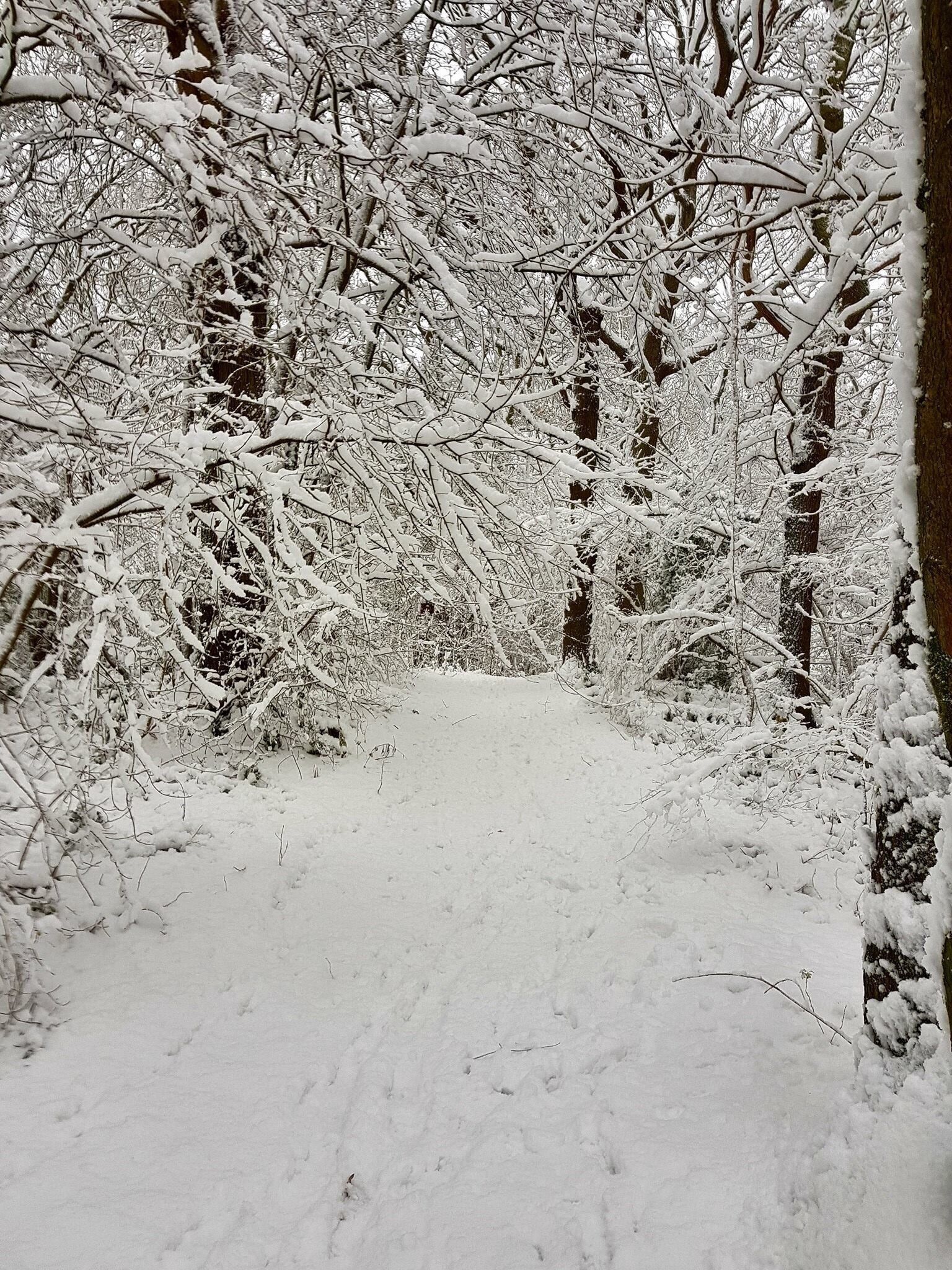 Winter Wonderland in my hometown. Lots of walking trails in the area and especially beautiful in the snow.