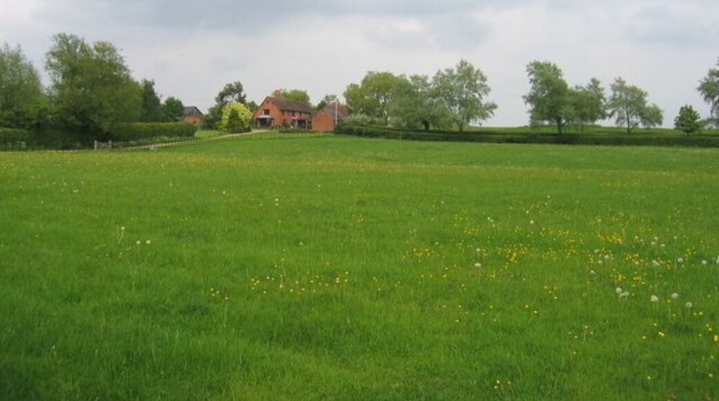 Berrowhill. Looking across the fields that make up most of this square from Berrowhill Lane towards Berrowhill House.