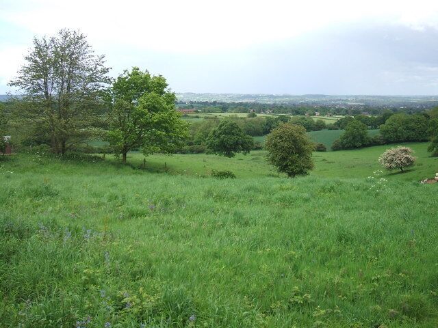 A grassy field with trees and a distant view of a town.