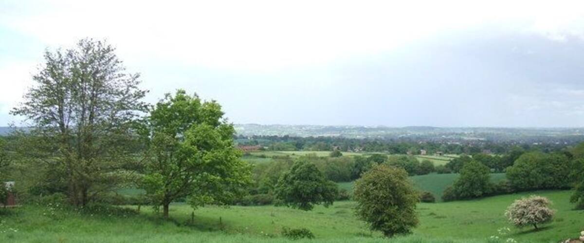 A grassy field with trees and a distant view of a town.