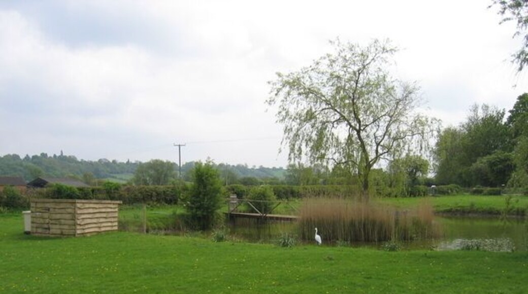 Pond by Moors Lane. A small man-made pond beside Moors Lane at the junction of the bridleway towards Andy's Barn.