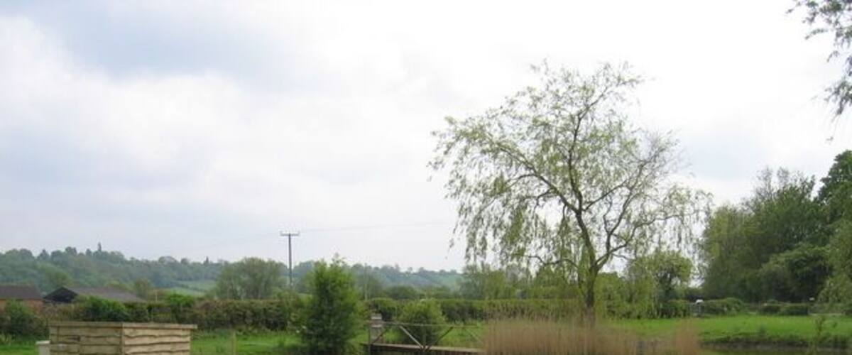 A grassy field with a pond, a tree, and a bird.