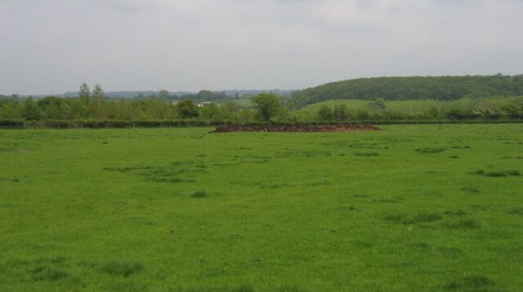 View from Bradley Green. Looking ENE across the square towards Feckenham. The small wooded hill in the middle distance is The Rough on the eastern edge of the square.