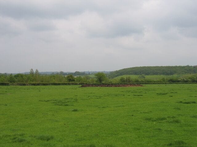 A green field with a stone wall and a hill in the background.