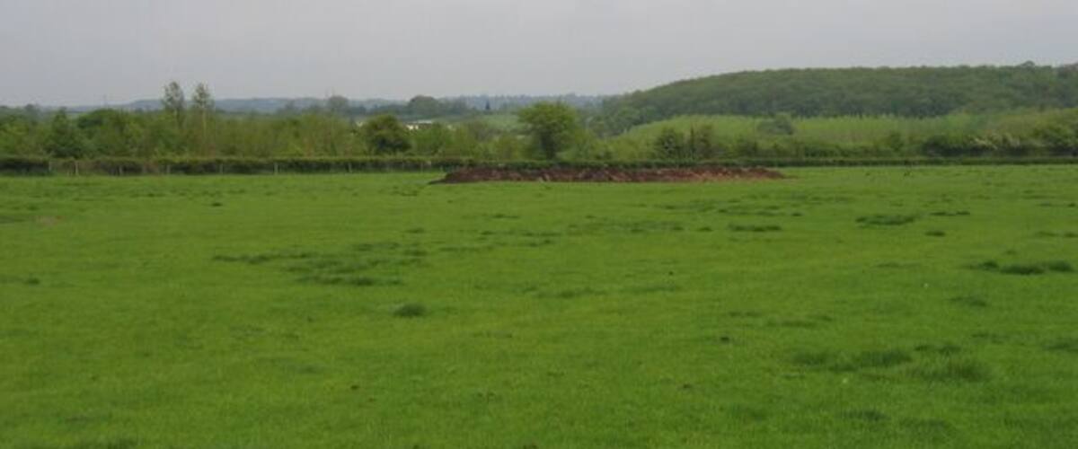 A green field with a stone wall and a hill in the background.
