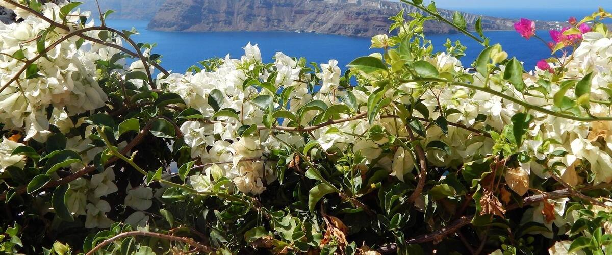 Oia, Santorini, Greece