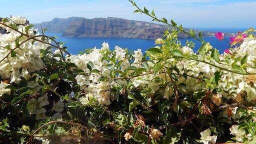 Oia, Santorini, Greece