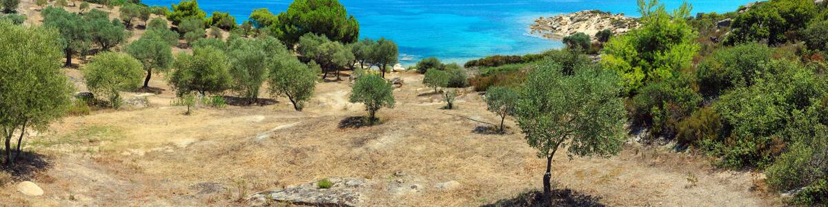 Summer Sithonia coast, Chalkidiki.