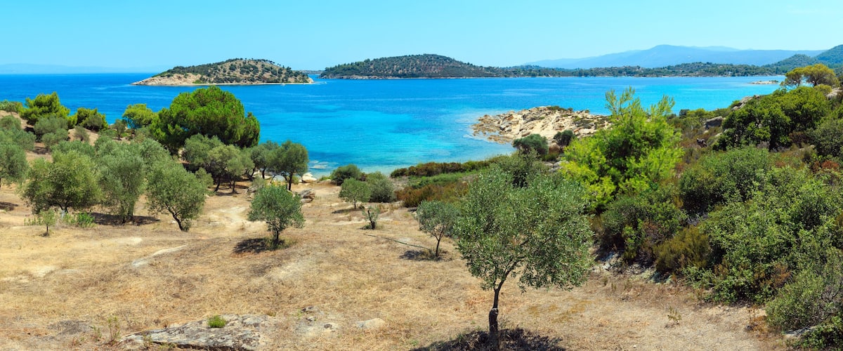 A coastal landscape with olive groves, a clear blue sea, and distant islands.