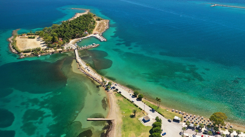Luchtbeeld van een kustgebied met een pier, een klein eiland begroeid met dichte begroeiing, helder turquoise water en een strand met parasols en auto's.
