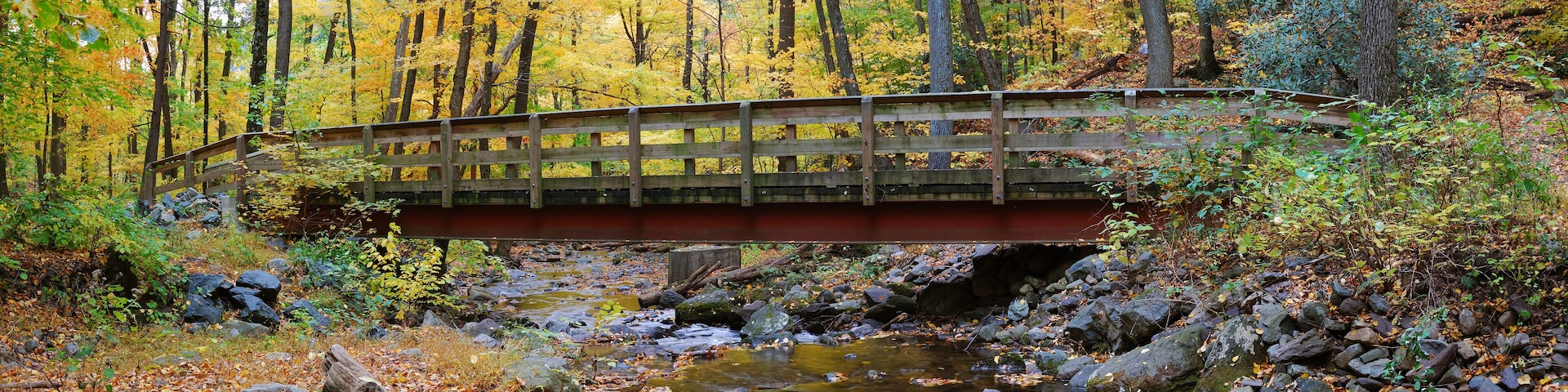 A wooden bridge over a rocky stream in a forest with autumn foliage.