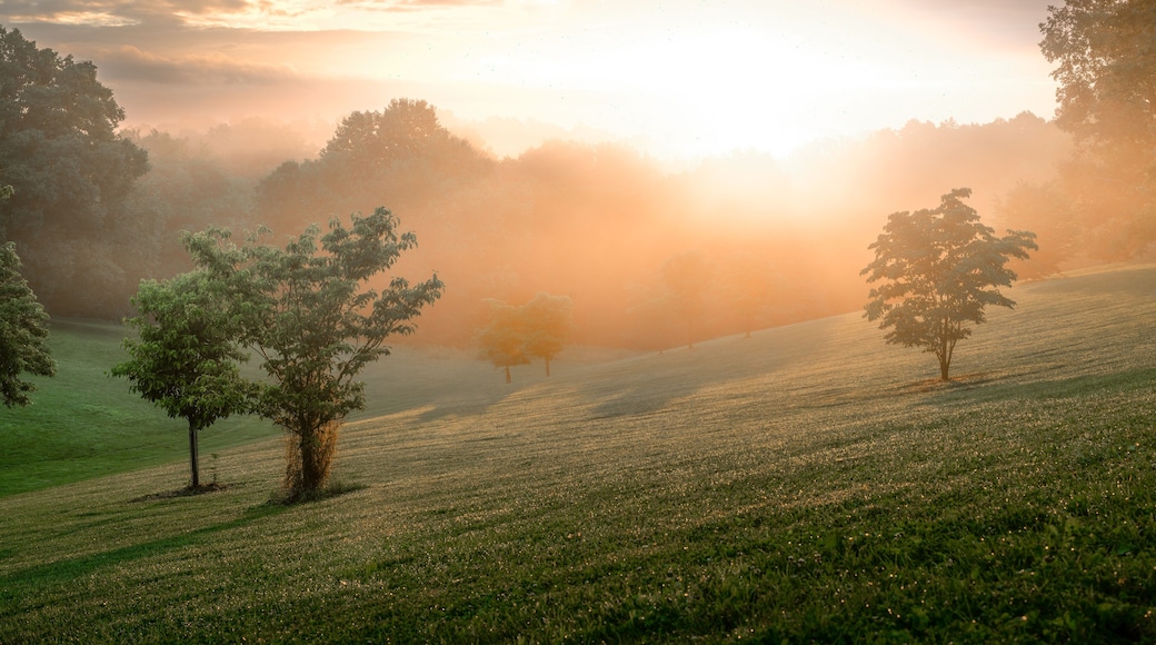 โอกโกรฟ