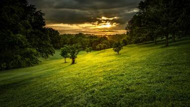 Cherokee Park at sunrise in Louisville, Kentucky, the US