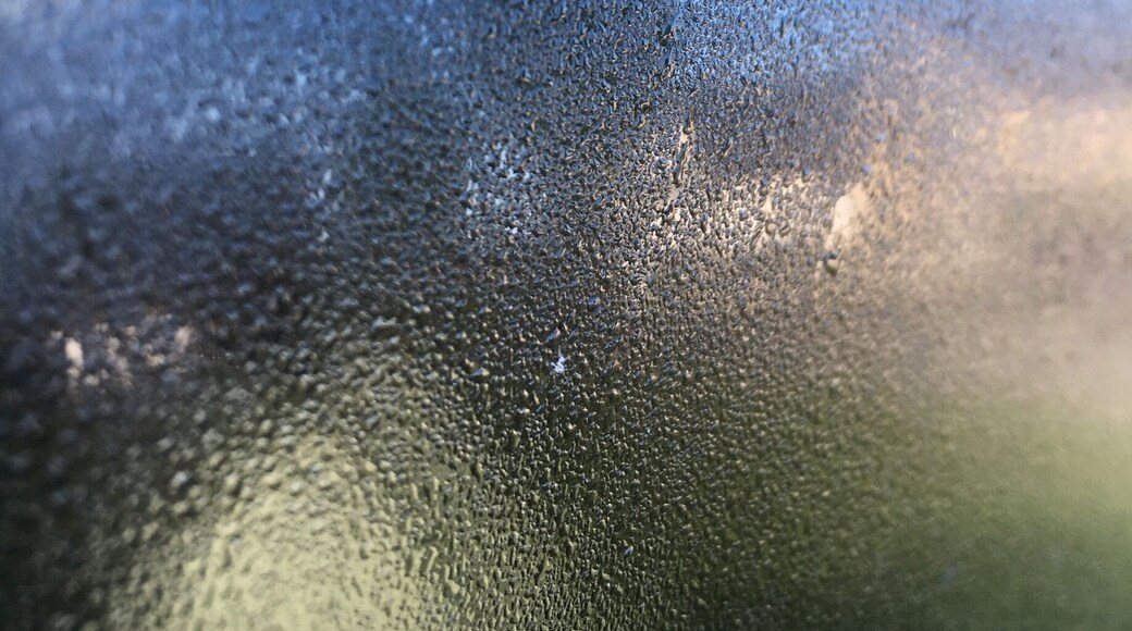 On a sunny morning a tiny white fly was sitting on my window of the car. It was the first time I saw a white one! #fly #sunny #morning #window #dawn #photography #naturephotography #nature #springfun