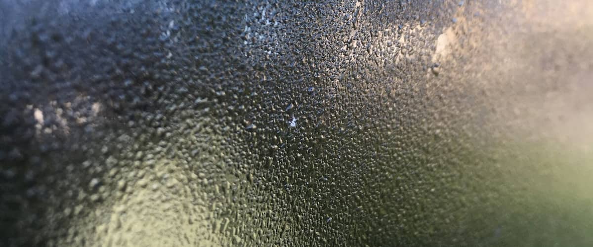 On a sunny morning a tiny white fly was sitting on my window of the car. It was the first time I saw a white one! #fly #sunny #morning #window #dawn #photography #naturephotography #nature #springfun