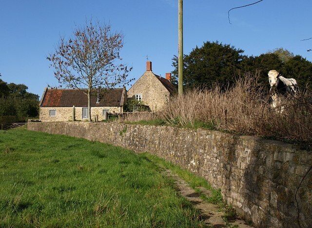 Ha-ha, East Pennard This is a slight turn-up. The cow is above the ha-ha at the rear of Pennard House, looking down on the paved footpath following the foot of the wall from East Pennard church to Home Farm in the background. Usually the livestock would be separated from the big house by the wall, thus protecting the gardens while preserving the illusion of a continuous landscape.