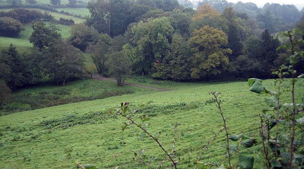 Looking towards Batcombe along the valley and round the ridge.