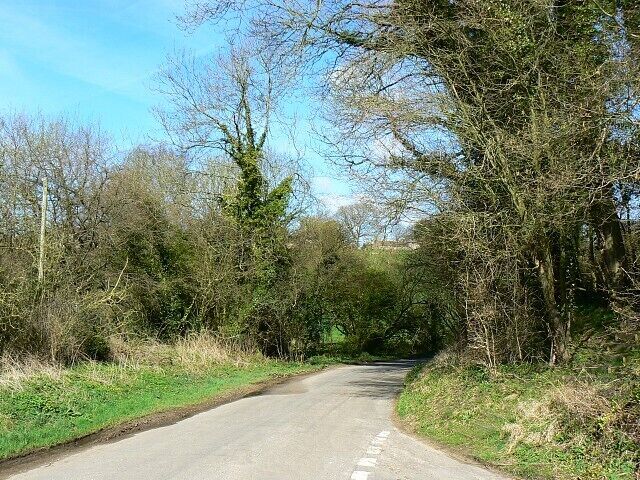 A narrow rural road surrounded by trees and vegetation.