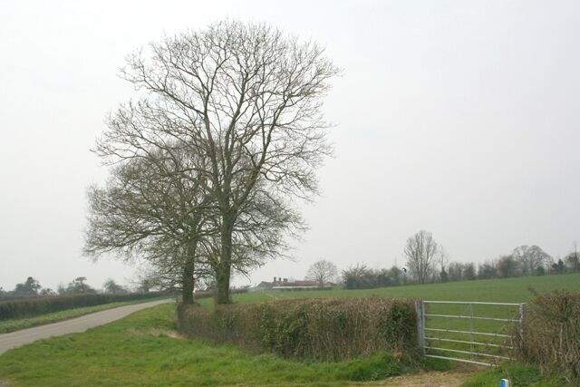 Road between Ditcheat & Wraxall