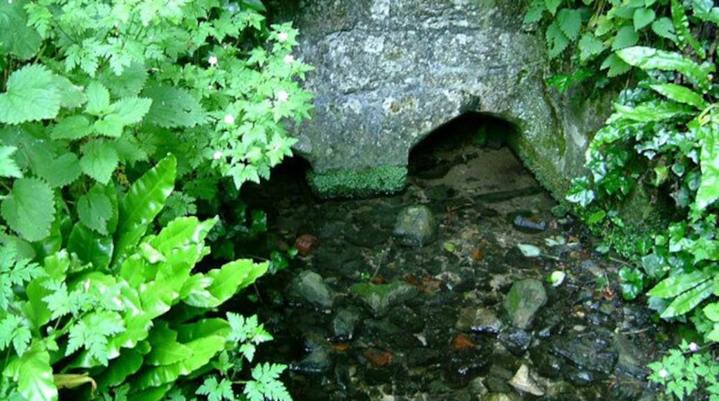 St. Aldhelm's Well, Doulting, Somerset On May 25th, 709, Aldhelm sat by this spring singing his favourite psalms for the very last time. Then, according to the chronicler William of Malmesbury, he directed that he should be carried into the nearby church, where he breathed his last. The church 1358153 celebrated its 1300th Anniversary in May, 2009. The spring, at the foot of the ridge on which church and village are built, has a reputation as one of our most authentic holy wells. It is the source of the River Sheppey; in charters of Aldhelm's day the Sheppey was called Doulting Stream.