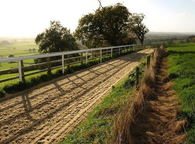Gallop, Ditcheat Hill. This training gallop runs close to 1025417 and crosses the line of footpath SM 6/32 as it runs along the crest of the hill.