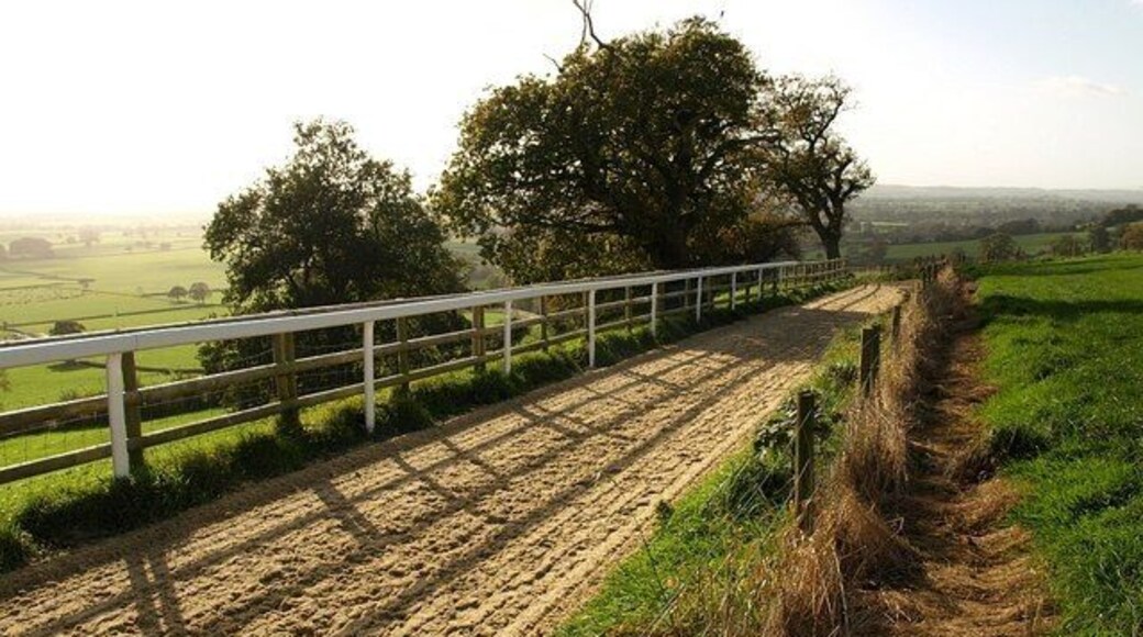 Gallop, Ditcheat Hill. This training gallop runs close to 1025417 and crosses the line of footpath SM 6/32 as it runs along the crest of the hill.
