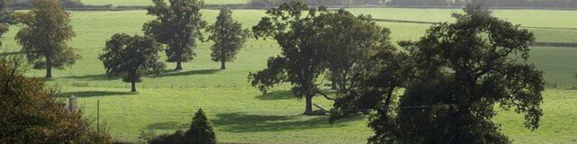 A rural landscape with rolling green fields, scattered trees, and stone walls.