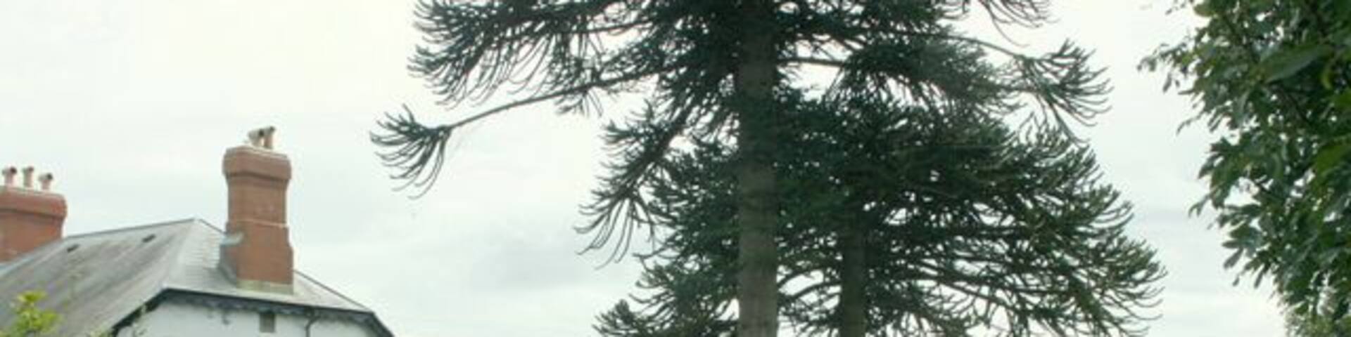 Heale Farm, Downhead Not to be confused with Heale Farm, Cranmore which is a few hundred yards down the road.