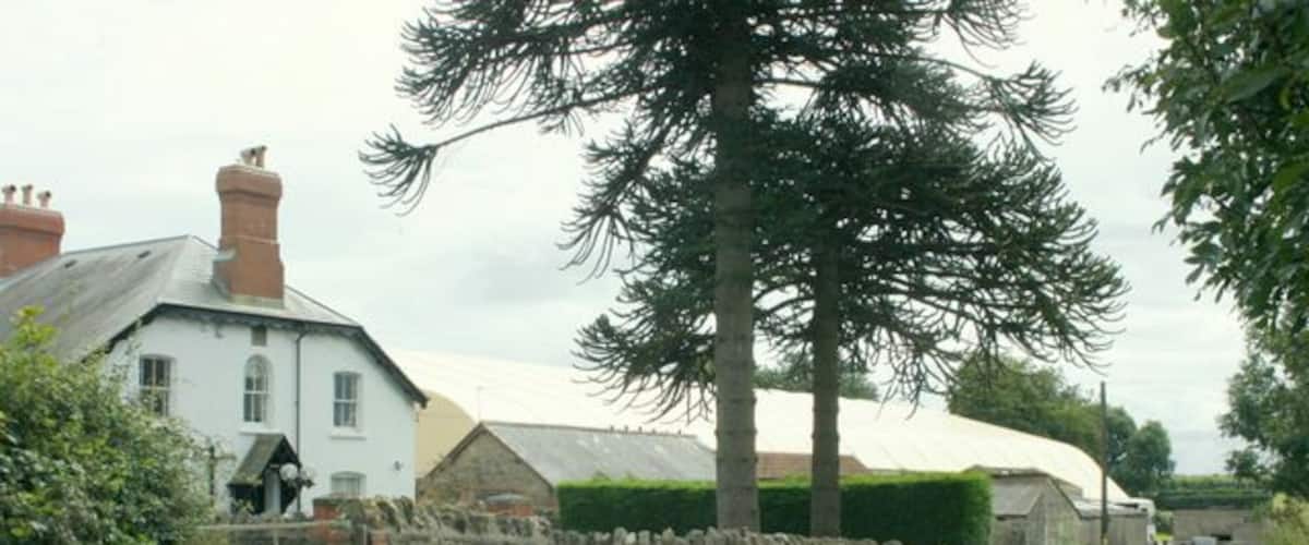 A rural road flanked by stone walls and a white house with a red roof.