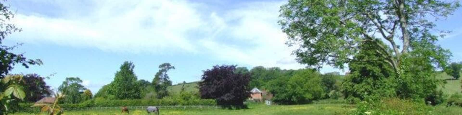 The Manor House, Ditcheat View of the back of the Manor House, Ditcheat, with hexagonal brick building on perimeter wall. Ditcheat Hill in background.