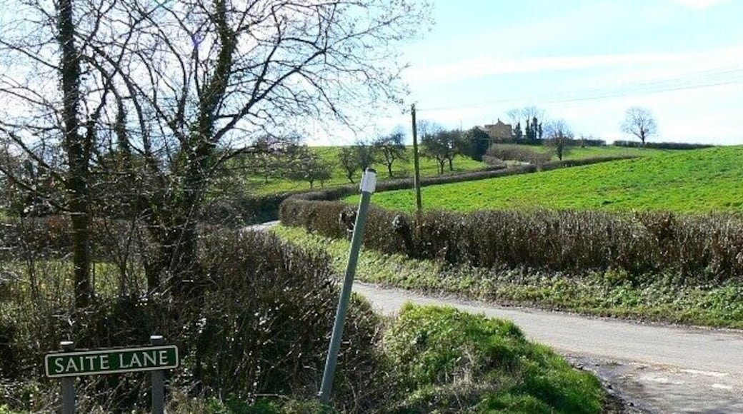 Portsway Lane from Saite Lane, south of Batcombe Hardly any traffic about along these narrow country lanes. Portsway Lane heads off up the hill away from the viewpoint. Rather oddly Saite Lane appears as Seat Lane on the 1:25K maps.