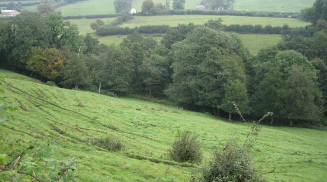 Rolling, wooded, green Not bad, Somerset! Landscape between Lower Alham and Batcombe. Opposite is Honeycliff.