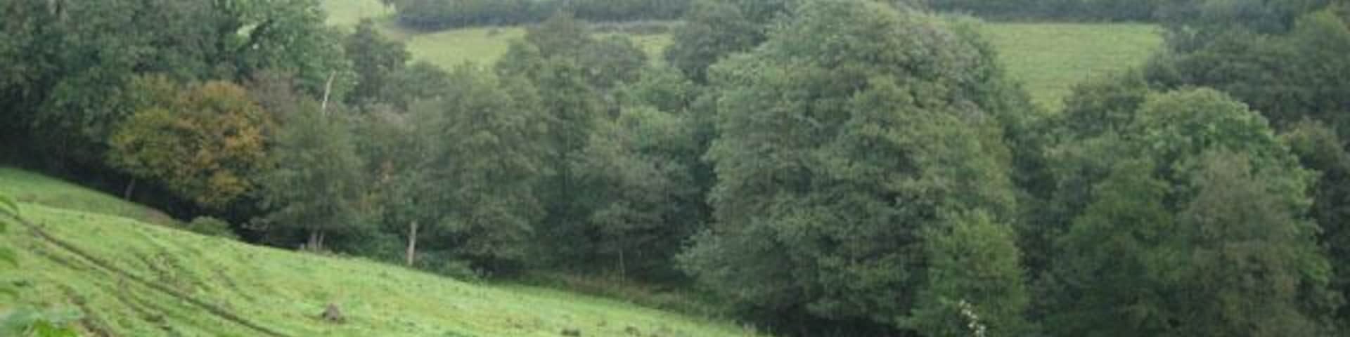 Rolling, wooded, green Not bad, Somerset! Landscape between Lower Alham and Batcombe. Opposite is Honeycliff.