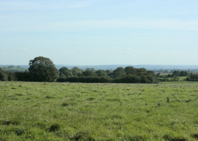Pasture on the Mendips Looking south from Burnthouse Drove. Shepton Mallet is lost between the hills about a mile and a half over.