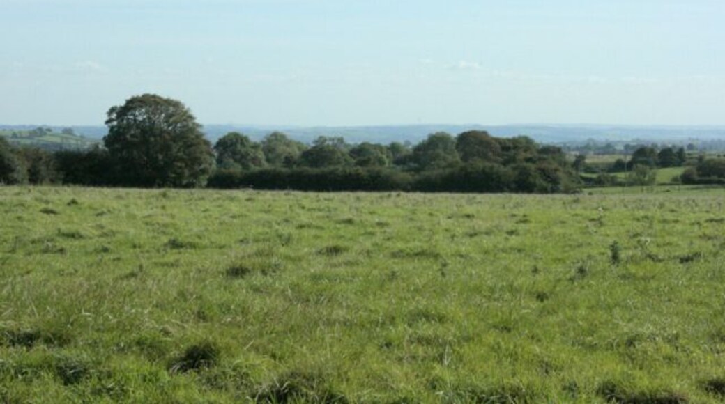 Pasture on the Mendips Looking south from Burnthouse Drove. Shepton Mallet is lost between the hills about a mile and a half over.