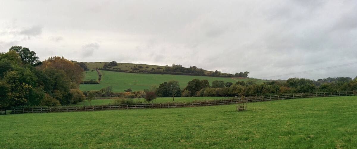 A green field with a wooden fence and trees in the background.