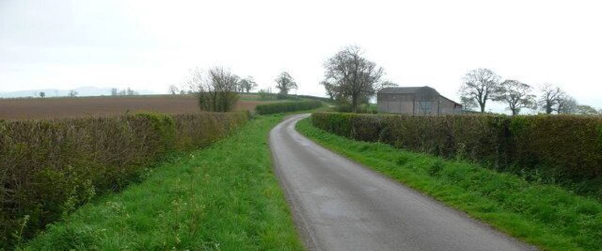 A narrow rural road curving through fields with hedgerows and a distant building.