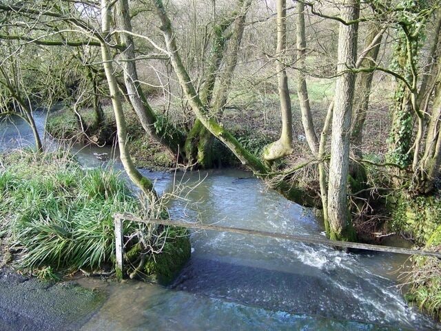 Stream near East Pennard Looking downstream from the Cockmill Bridge.