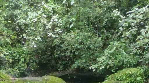 بورتو فيو دو تالامانكا