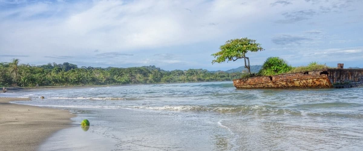 Random siting of man vs nature.. #naturewins