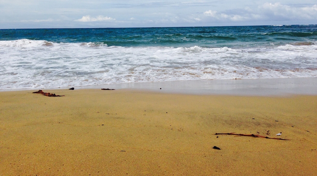 Punta Uva Beach in Puerto Viejo, CR
#beach