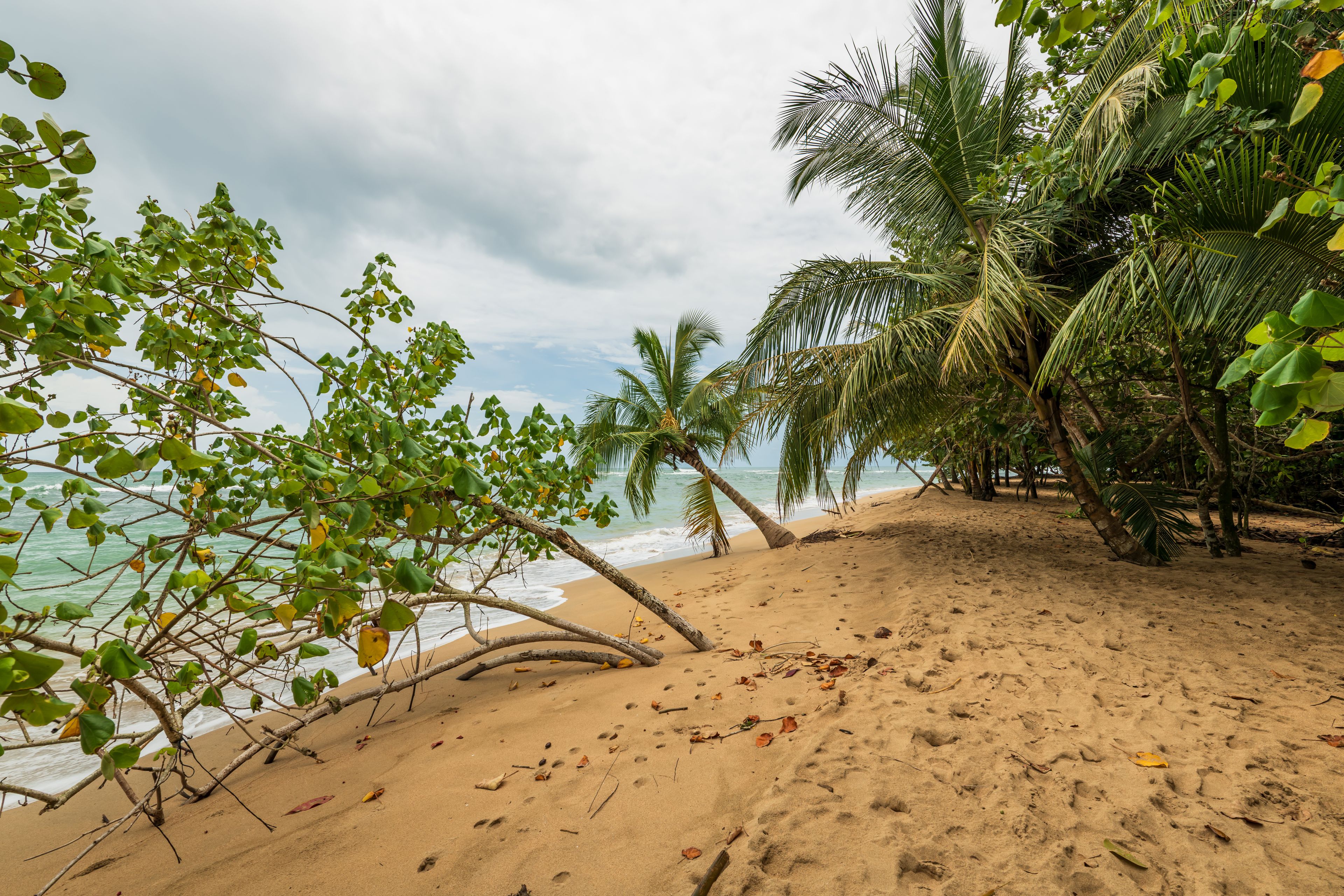 Puerto Viejo de Talamanca