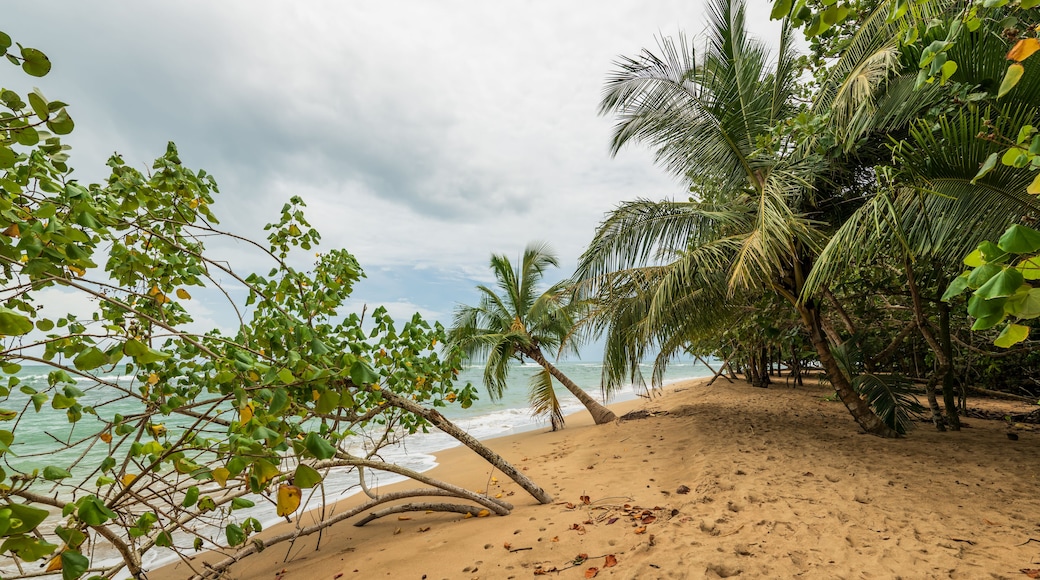 Puerto Viejo de Talamanca