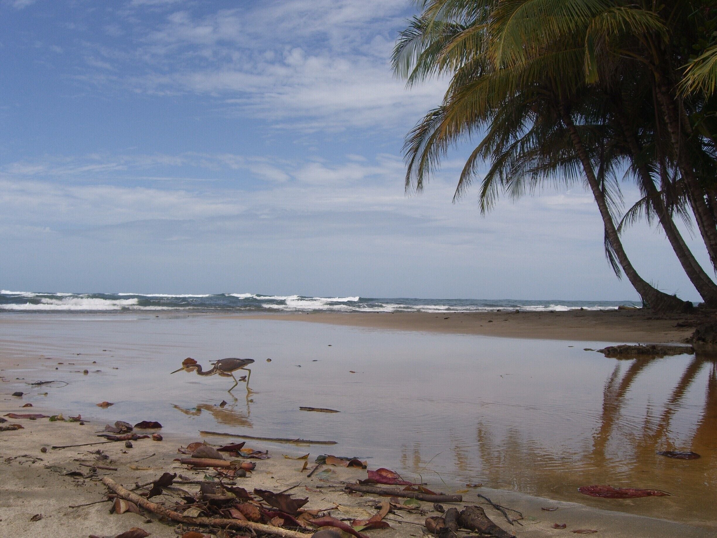 Playa Manzinillo. Beautiful