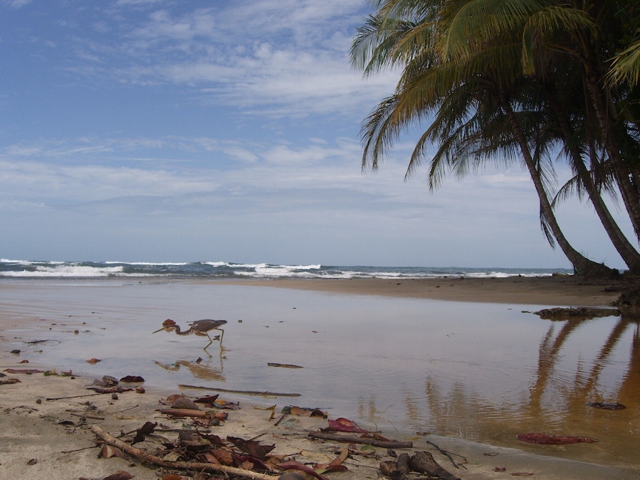 Playa Manzinillo. Beautiful