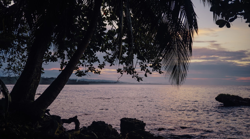Puerto Viejo de Talamanca