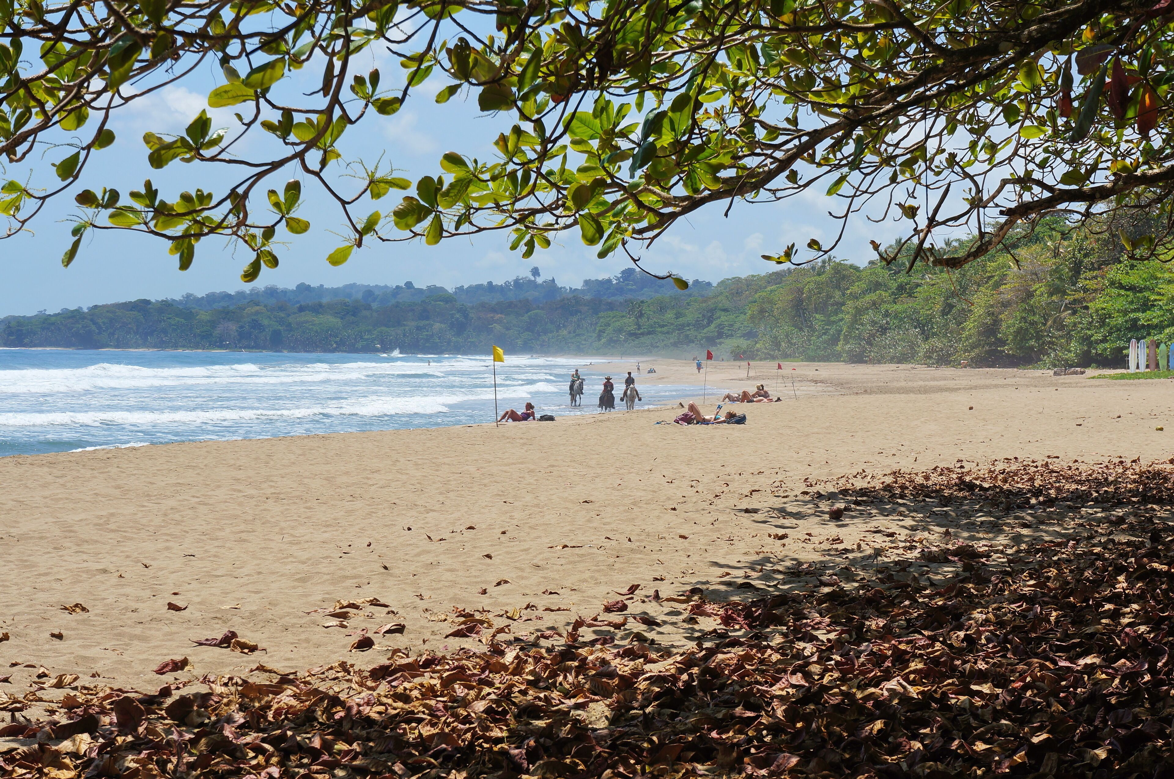 Puerto Viejo de Talamanca